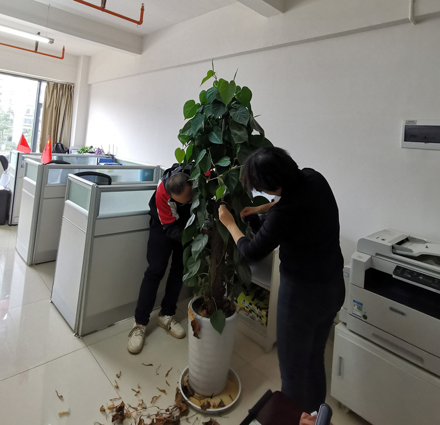 康澤公司組織開展愛國衛(wèi)生運動暨規(guī)范化管理檢查