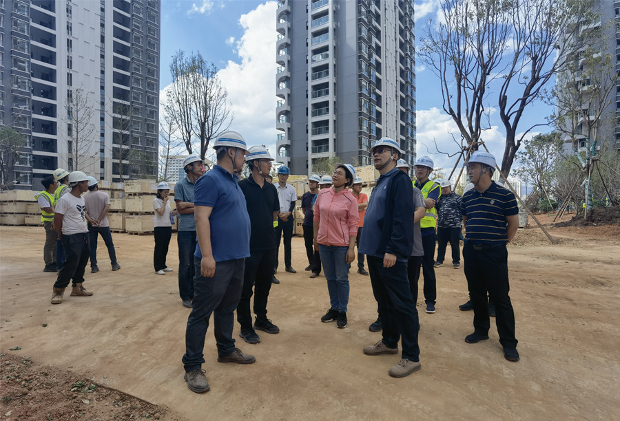 楊光雷到玉溪高鐵新城項(xiàng)目、元江果香四季項(xiàng)目調(diào)研