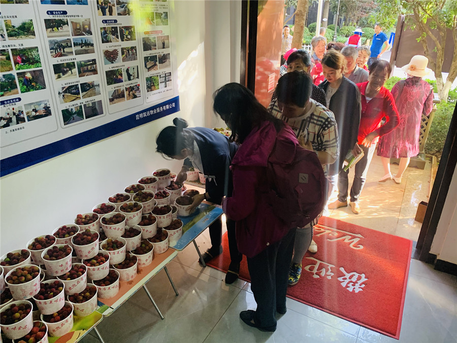 “梅”好生活，與您共享丨筑遠(yuǎn)物業(yè)組織開展感恩業(yè)主送楊梅活動