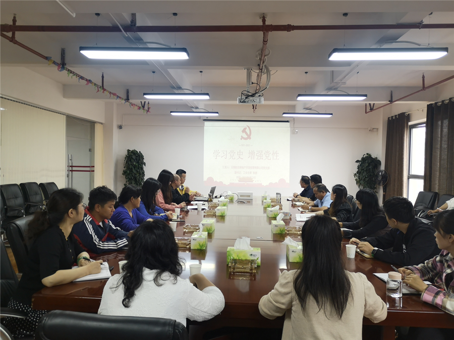 云航地產(chǎn)黨支部組織開展黨史學(xué)習(xí)教育