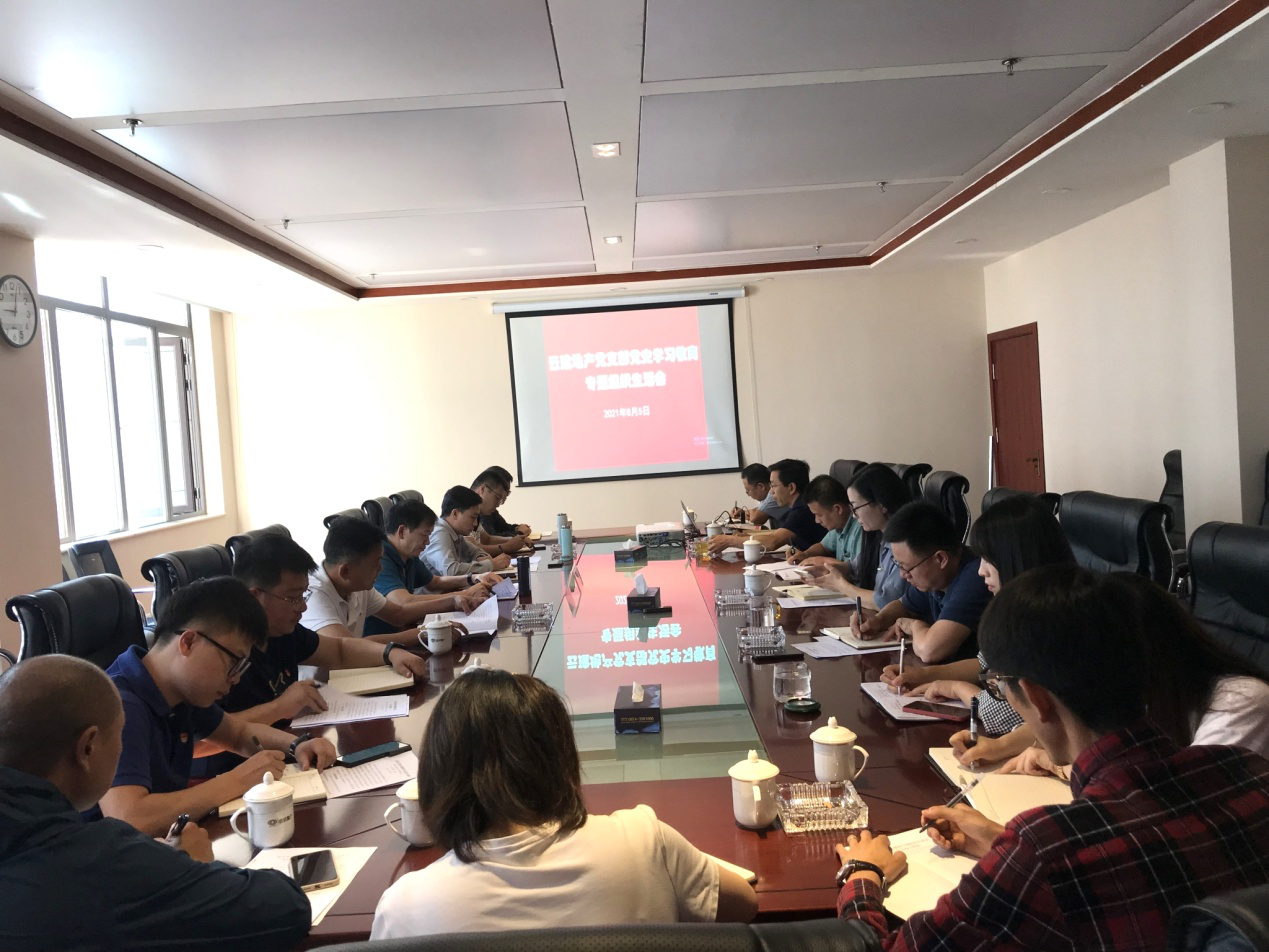 云建地產(chǎn)黨支部召開黨史學習教育專題組織生活會