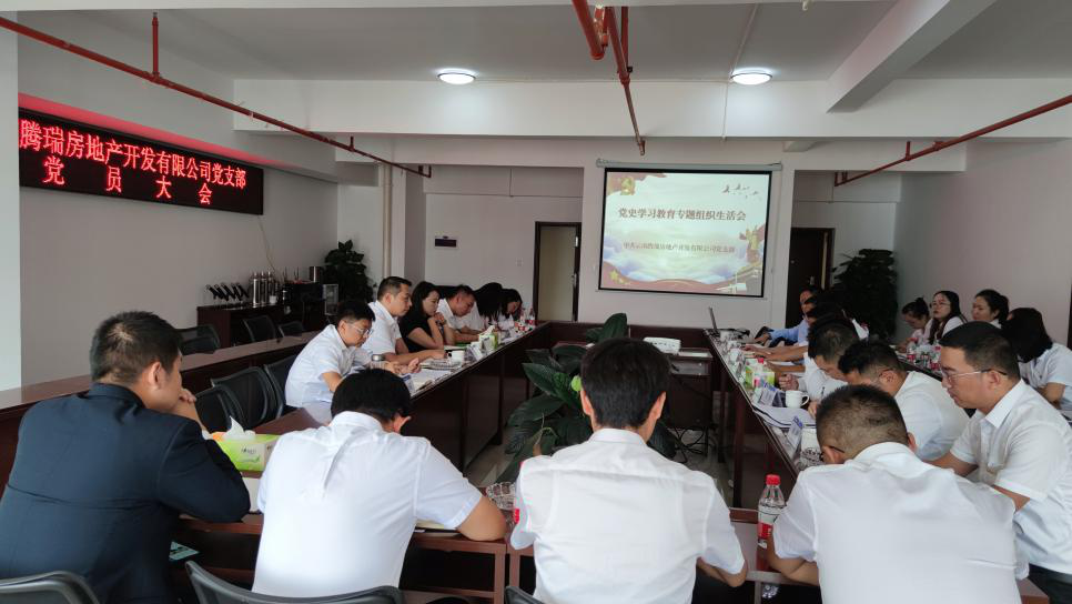 騰瑞公司黨支部召開黨史學(xué)習(xí)教育專題組織生活會