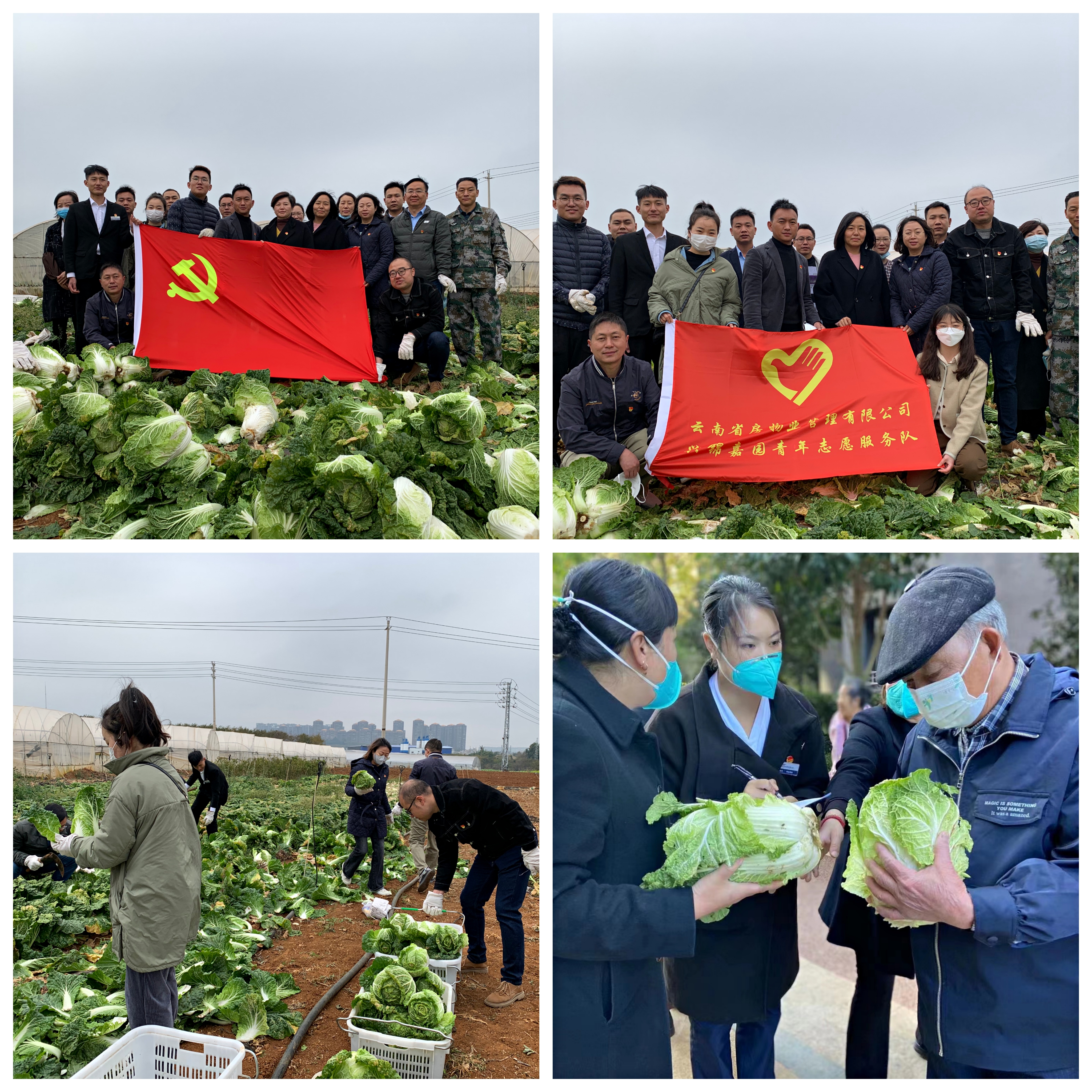 我為群眾辦實事 |“蔬”送溫暖