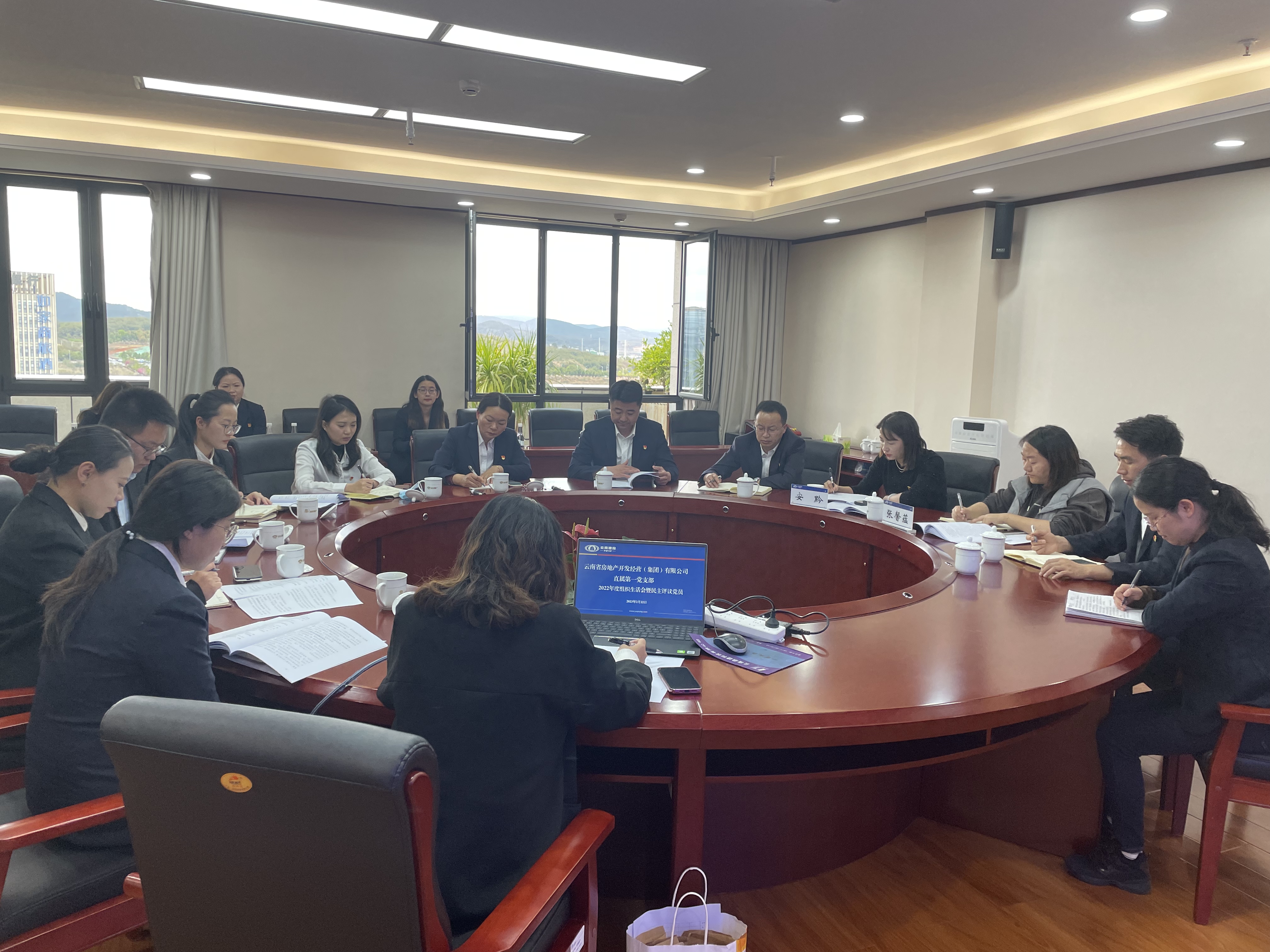 公司各黨支部召開2022年度組織生活會并開展民主評議黨員工作