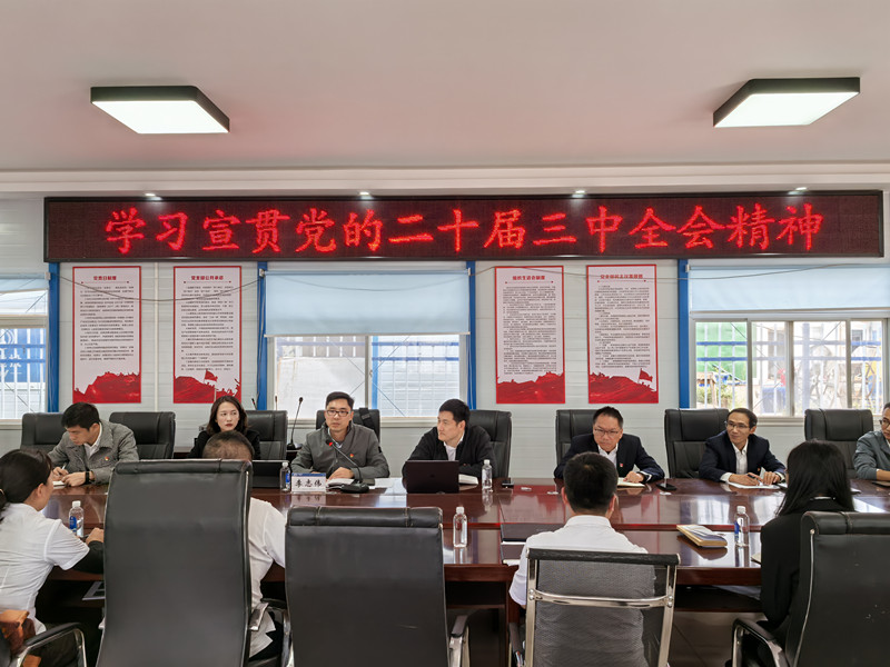 李志偉宣講黨的二十屆三中全會(huì)精神